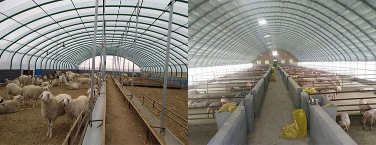 Steel structure breeding greenhouse