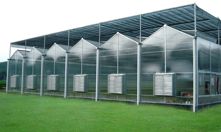 Multi-span film greenhouses manufacturer
