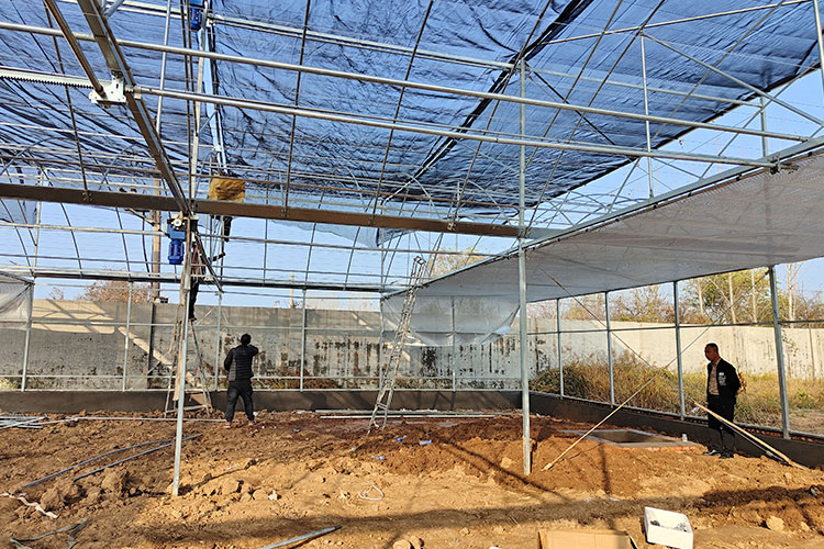 Glass multi-span smart greenhouse