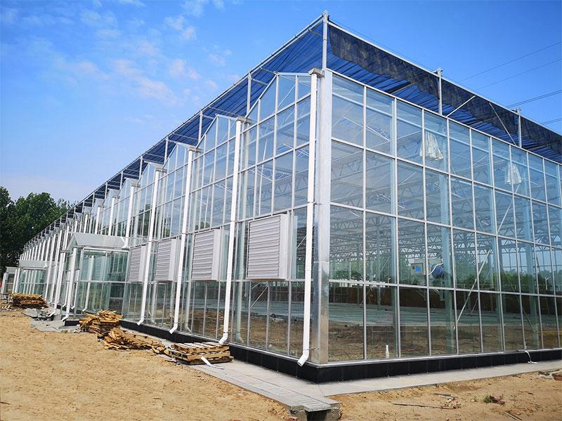 Estufa de vidro para cultivo de vegetais