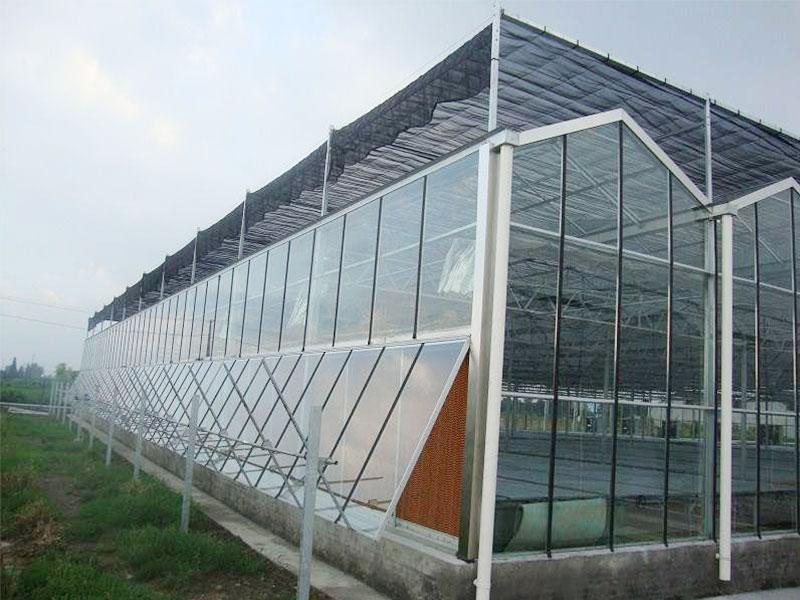 Estufa de vidro para cultivo de vegetais