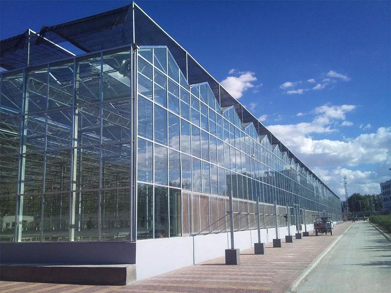 Steel structure greenhouse manufacturer
