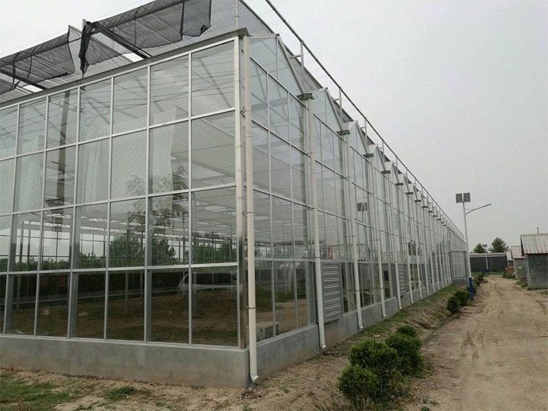 Steel structure greenhouse manufacturer