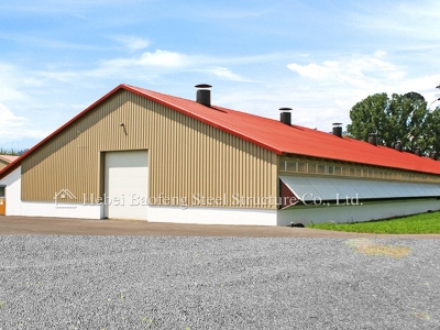 steel structure chicken house