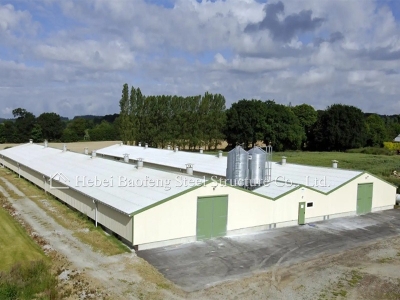 Chicken house design