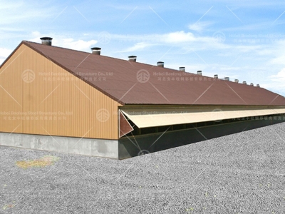 steel structure chicken house