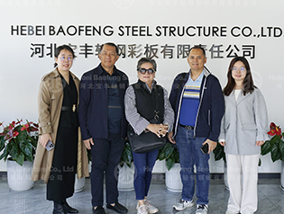 Inspeção do cliente